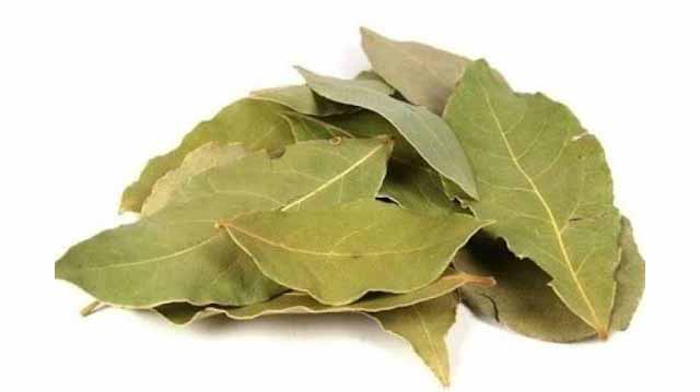დაფნის ფოთოლი