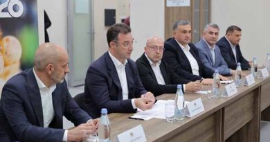 მინისტრი სახელმწიფო პროგრამებზე